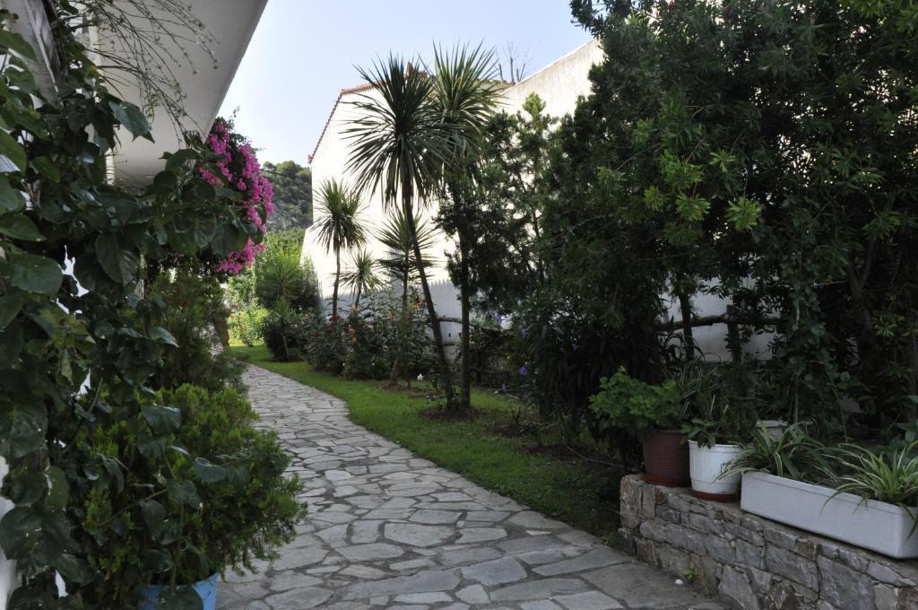 Afroditi Panormos  Exterior photo